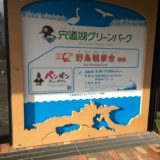 【島根県・遊び場】宍道湖グリーンパークに行ってきた！
